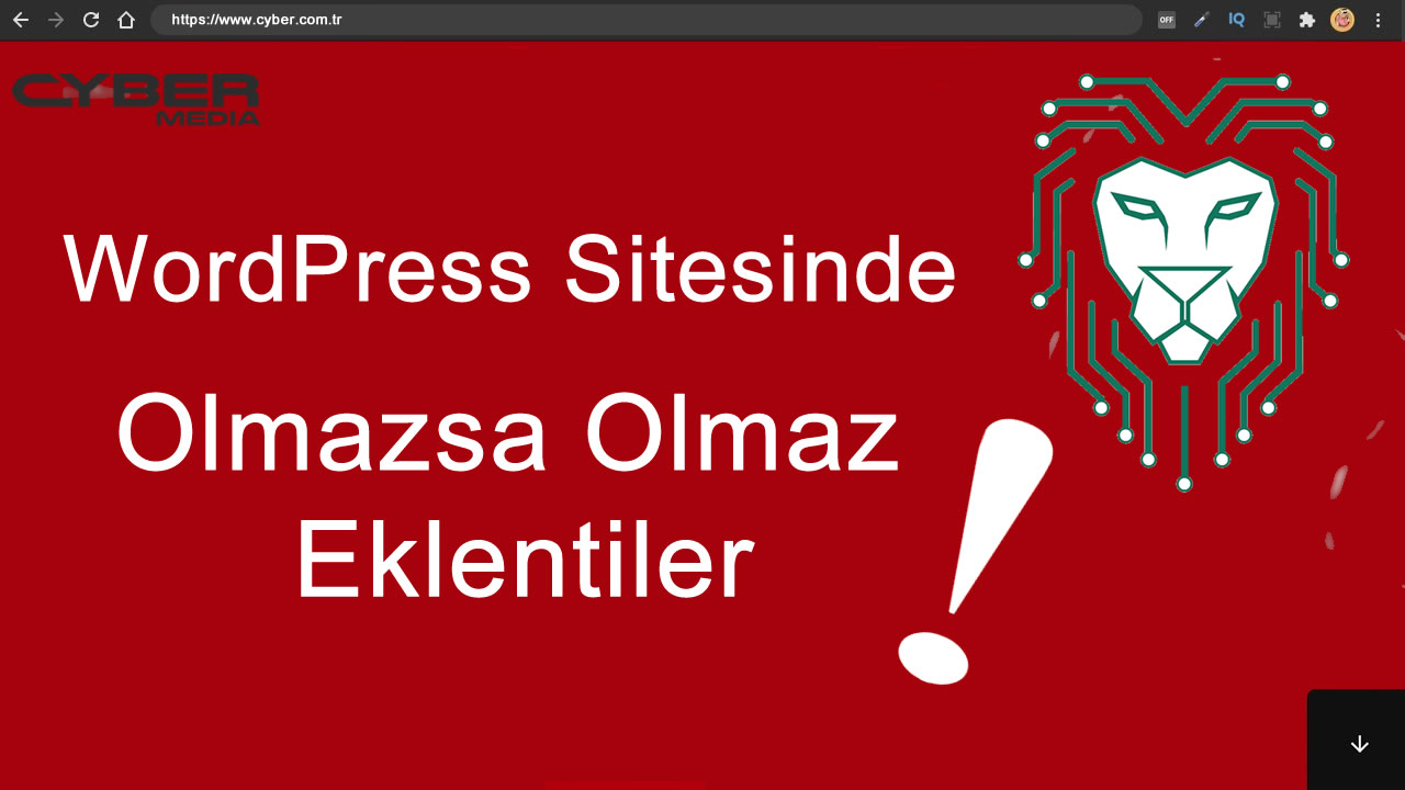 WordPress Sitesinde Olmazsa Olmaz Eklentiler